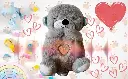 61NIugo1REL._SX522_.webp